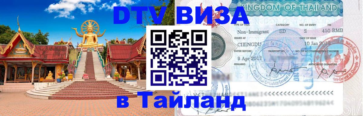 Сколько стоит DTV виза — актуальные цены, оформление даже без документов - 18.11.2025 